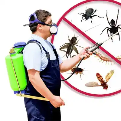 pest control River Ridge